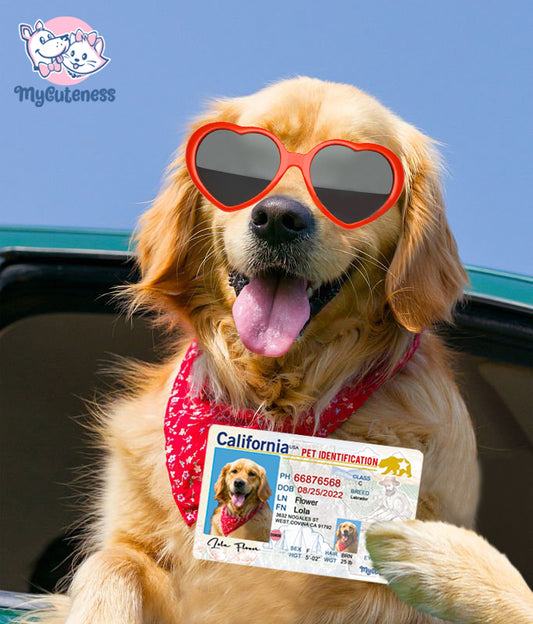 Pet Custom Driver's License Style Name Tag , Pet Photo Custom ID = )